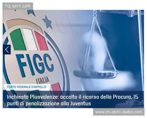 意甲球队营收与财务状况分析